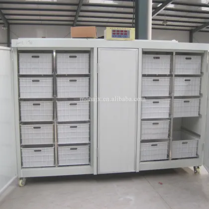 Electric Bean Sprout Maker: Price for Alfalfa, Peanut, Brussels Sprouts, and Broccoli Growing Machine