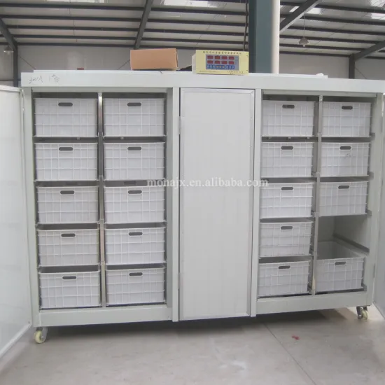 Electric Bean Sprout Maker: Price for Alfalfa, Peanut, Brussels Sprouts, and Broccoli Growing Machine