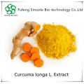 Suministro de extracto de raíz de la planta de cúrcuma Curcumin95%