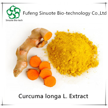 Extrait de racine de curcuma de l&#39;usine Curcumin 95%