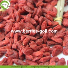 Rifornimento della fabbrica Frutta naturale Super Food Bacche di Goji