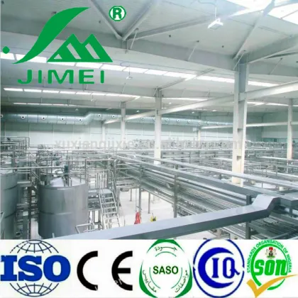 Soy Bean Milk Processing Plant Equipment and Systems