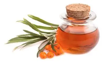 Plant Essential Oil sea buckthorn seed oil