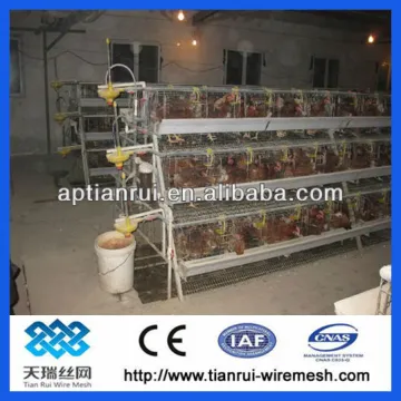 chicken cage have good price and high quality