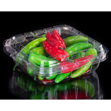 Bulk fruit clamshell box online purchase