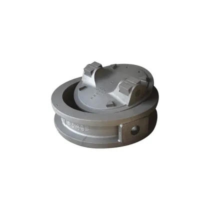 Custom and OEM SG Iron Valves