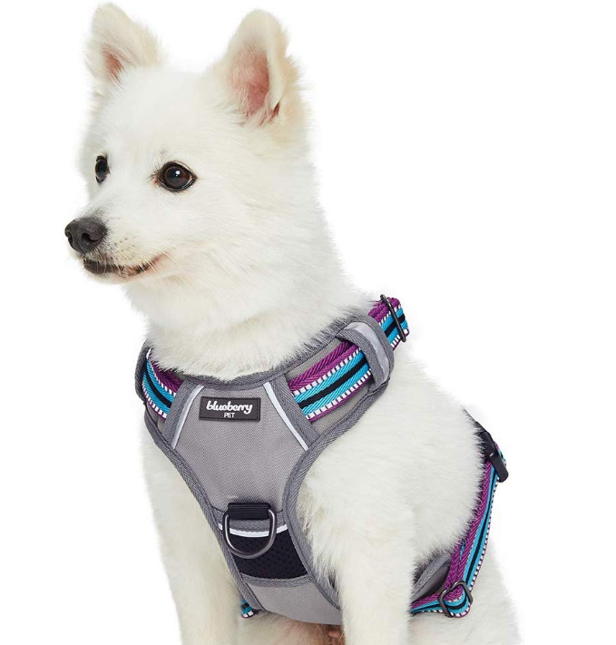 Multi-Colored Stripe Dog Harness