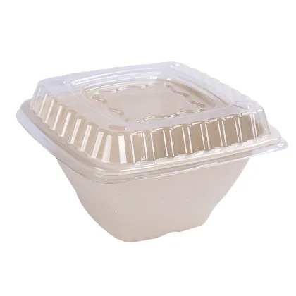 Disposable Sugarcane Bowl Bagasse Bowl Square Bowl