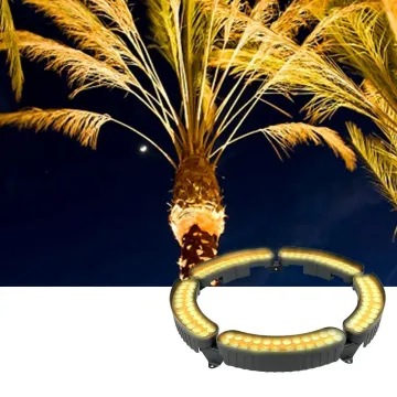 Outdoor Waterproof IP67 LED Tree Lighting System with DC24V Power for Desert Landscape and Palm Trees