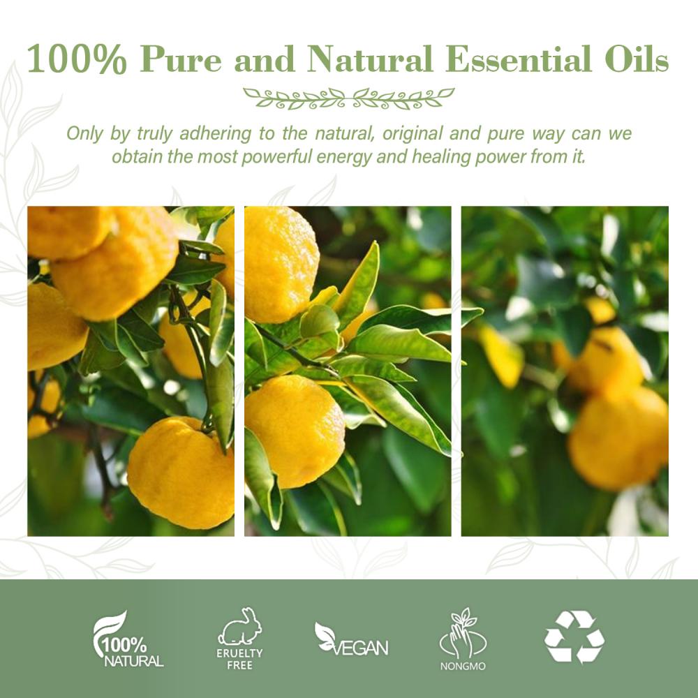 Wholesale YUZU Essential Oil For Skin Hair Care 100% Pure Natural Organic Food Grade