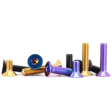 Custom Hex Copper Stainless Steel Titanium Screw and Bolt Fasteners with Black Polishing and Zinc Plating