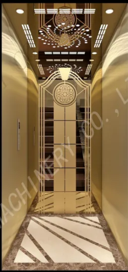 Passager ELevator for Building