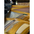 Petrof · Scholze NS-230 Grand Piano سیاه جلا 2300 سانتی متر صنایع دستی Petrof Craftsmanship Professional Piano