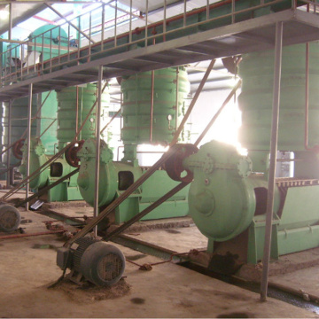 Máquina de prensa de aceite de tornillo para semillas de girasol