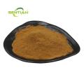 Hagh quality Eucalyptus Globulus Extract