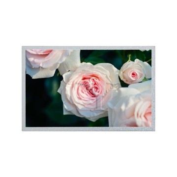 TFT LCD Panel 8.0 Inch 1024*768 EJ080NA-04B for Automotive Display