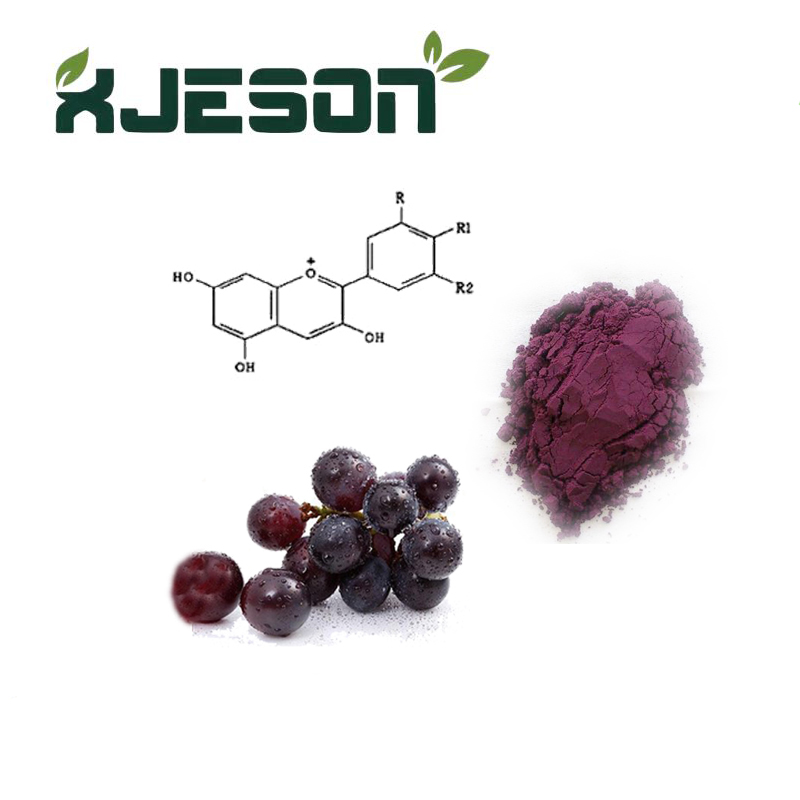 Resveratrol en polvo de extracto de piel de uva roja