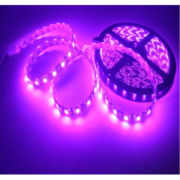 Fancy waterproof SMD5050 led strip light