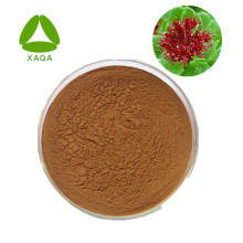 Extracto de Rhodiola rosea rosavina 3% salidroside 1% en polvo