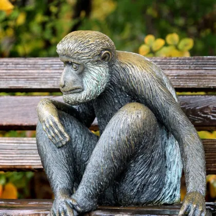 Large Metal Craft Life Size Bronze Darwin Monkey King Statues Sculpture