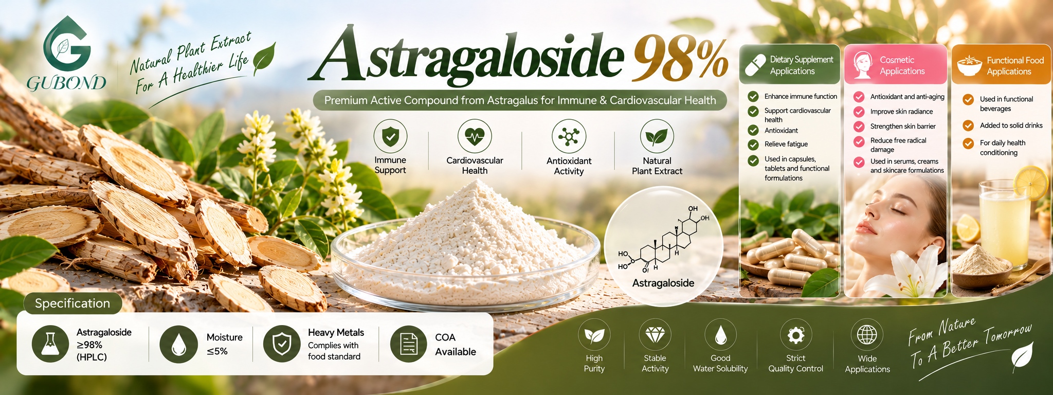 Astragaloside 98%