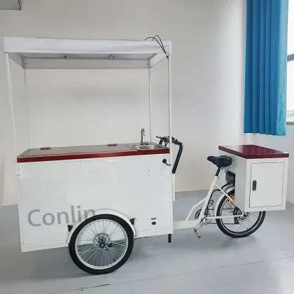 Electric Bike for Cold Pressed Juice and Ice Cream Vendors