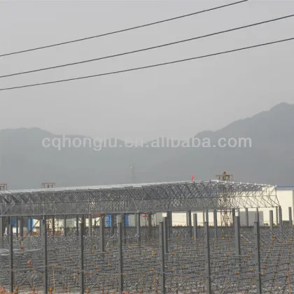 China Honglu Steel Bridge Construction
