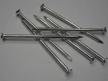 Polished Common round nails