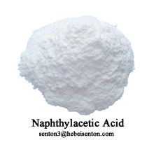 Synthetic Plant Hormone Naphthylacetic Acid