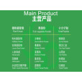 Pure Pine Needle Powder & Extract for Antioxidant Boost