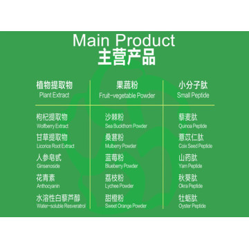 Pure Pine Needle Powder & Extract for Antioxidant Boost