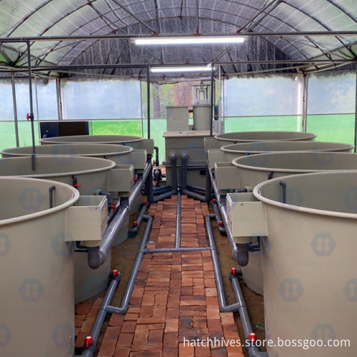 Steel Structure Prefabricated Building for Aquaculture: HatchHives Crawfish Hatchery RAS System Equipment for Fish Farming
