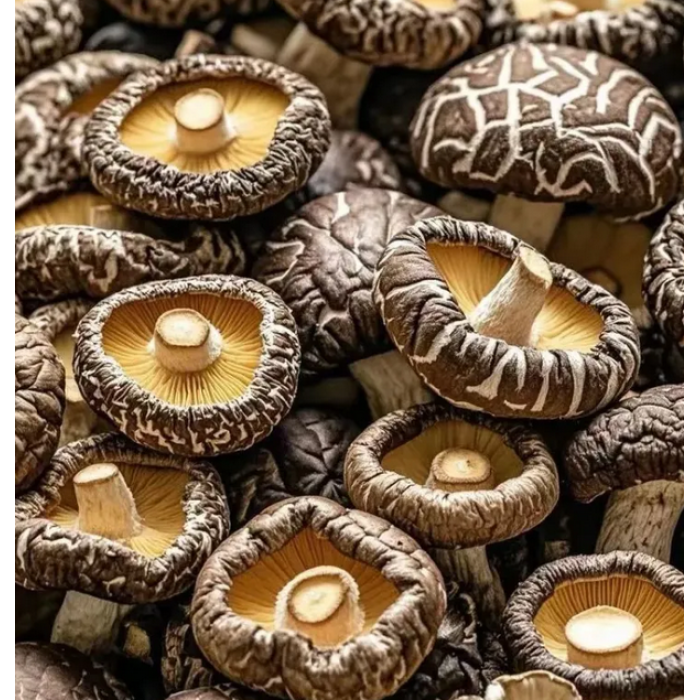 200g de cogumelos Shiitake pequenos