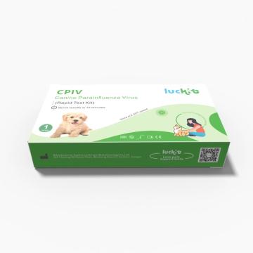 Luckit anjing -anjing parainfluenza cpiv haiwan kesayangan kit kit reaksi cepat cepat harga kilang operasi mudah