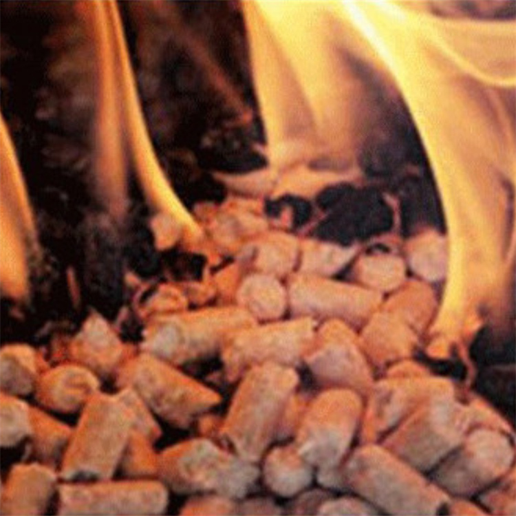 Biodegradable Biomass Fuel