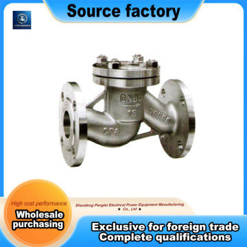 Stainless Steel Lift Check Valve Type