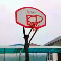 Adjustable Indoor Basketball Backstop