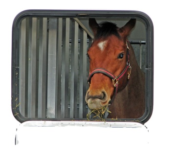 USA America Horse Trailer Motorhome Vervolgvoervenster voor het schuifraam van paardentransport