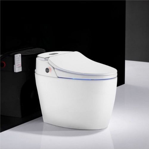Compact Toilet Seat Automatic Closestool Floor Mounted Smart Toilet