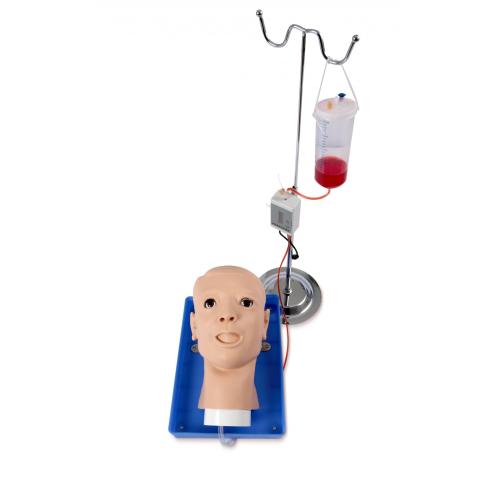 Anatomical Model Of The Nose Nose Bleeding Training Model Supplier