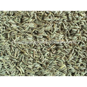 Organic Black Cumin Seed Oil at Wholesale Price