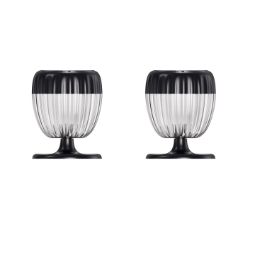 2-Pack Outdoor Solar Lights with PET Frosted Process Solar Panels