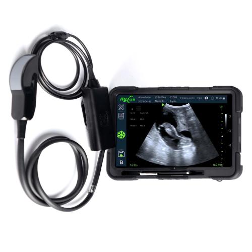 Fast Scan LC ultrasound machine for cattle