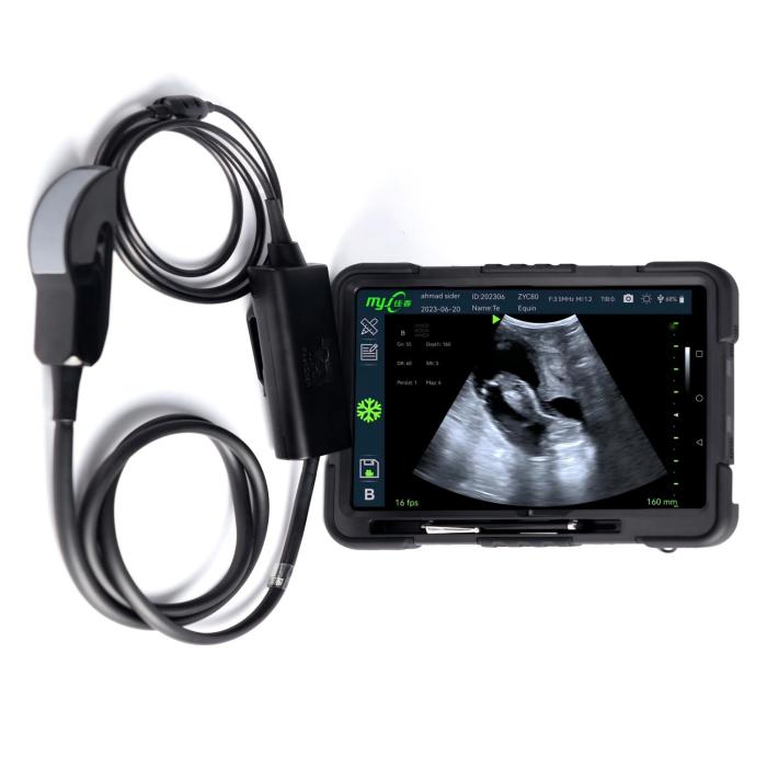 Fast Scan LC ultrasound machine for cattle