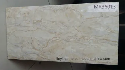 30X60 Ceramics Porcelain Kitchen Wall Tiles