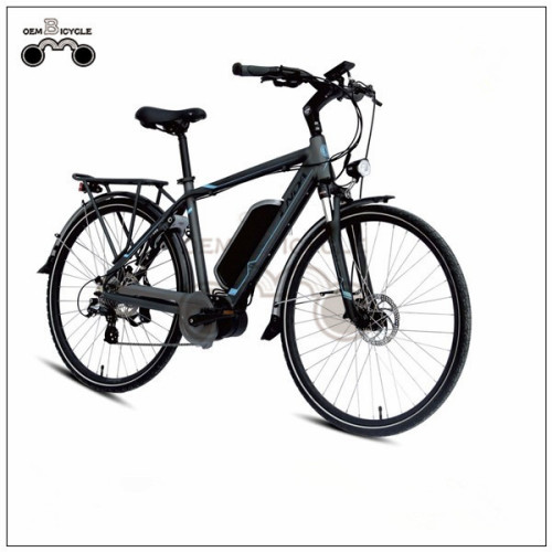 EBIKE COMPANY WHOLESALE 36V 250W / 350W MOUNTAIN STYLE EBIKE CUSTOMized ELECTRIC BIKE