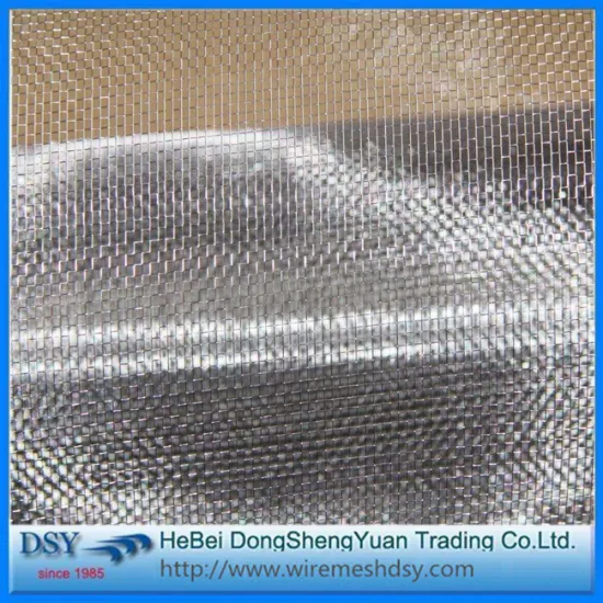 Plain Ultra Fine 304 Stainless Steel Wire Mesh