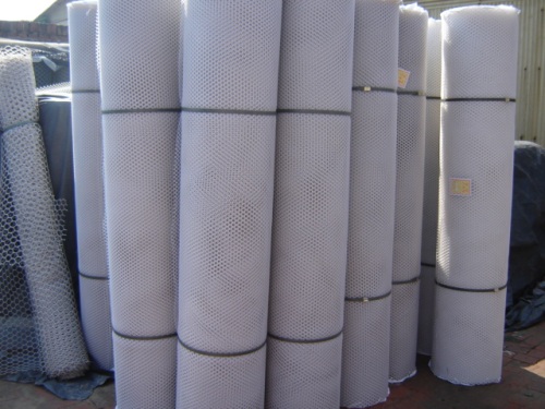 Plastic Mesh /White Color Plastic Mesh (plastic netting)