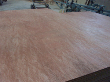 Pembungkusan Papan lapis 18 Mm poplar