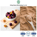 Premium Plum Powder for Antioxidant-Rich Smoothies and Beverages